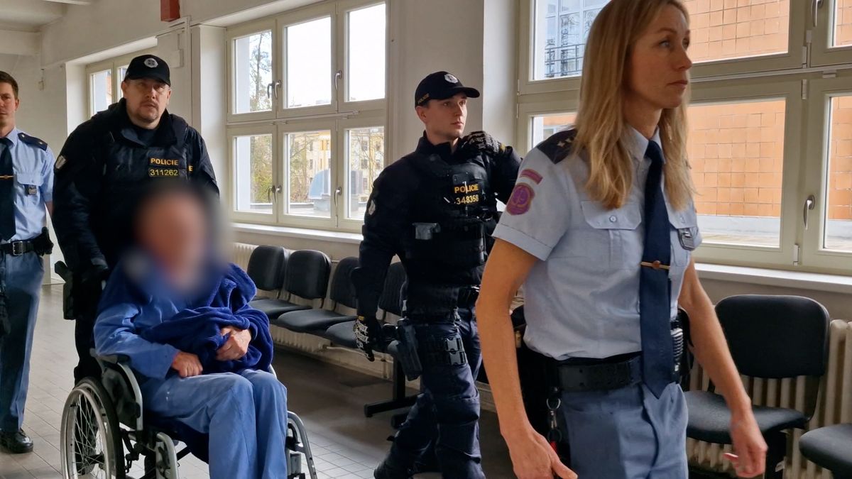 Invalidní důchodce z Přelouče zastřelil svou přítelkyni, skončil ve vazbě